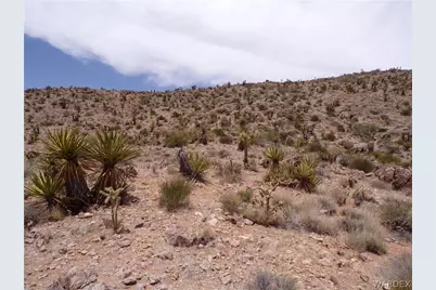 328-06-437 N Mt Tipton Drive, Dolan Springs, AZ 86441 - Photo 18