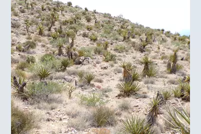 328-06-437 N Mt Tipton Drive, Dolan Springs, AZ 86441 - Photo 16