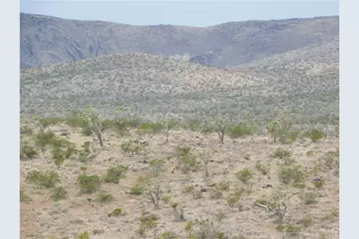 319-09-014 18th Street, Dolan Springs, AZ 86441 - Photo 4