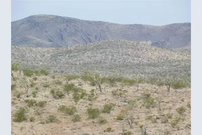 319-09-014 18th Street, Dolan Springs, AZ 86441 - Photo 4