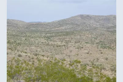 319-09-014 18th Street, Dolan Springs, AZ 86441 - Photo 8