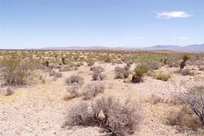351-13-025 N Earls Road, Dolan Springs, AZ 86441 - Photo 4
