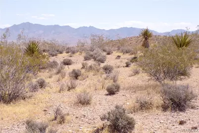351-13-025 N Earls Road, Dolan Springs, AZ 86441 - Photo 18