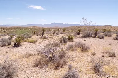 351-13-025 N Earls Road, Dolan Springs, AZ 86441 - Photo 12