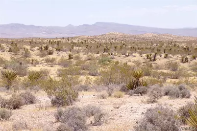 351-13-025 N Earls Road, Dolan Springs, AZ 86441 - Photo 10
