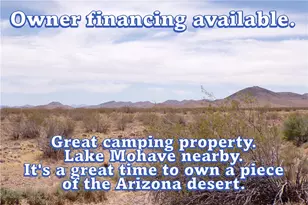351-18-003 W Reynolds Ave, Dolan Springs, AZ 86441 - Photo 1