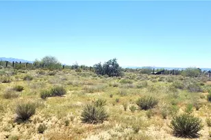 Lot 225-D W Round Up Dr, Golden Valley, AZ 86413 - Photo 1