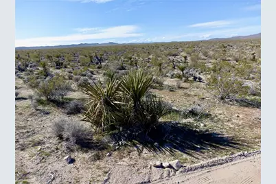 351-07-073 Vigil Road, Dolan Springs, AZ 86441 - Photo 2