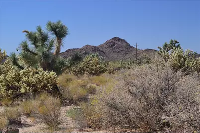 11300 S Dennis Road, Yucca, AZ 86438 - Photo 2