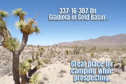 337-16-307 Gladiola Road, Meadview, AZ 86444 - Photo 1