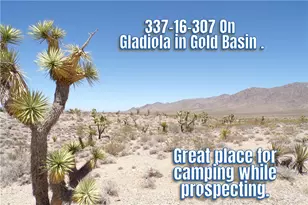 337-16-307 Gladiola Rd, Meadview, AZ 86444 - Photo 1
