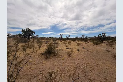 17773 Laurel Drive, Dolan Springs, AZ 86441 - Photo 6