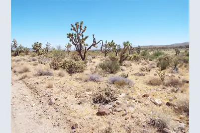 0000 N Palo Alto Drive, Dolan Springs, AZ 86441 - Photo 8