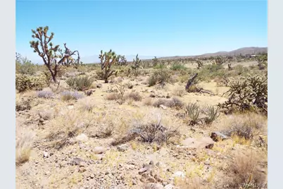 0000 N Palo Alto Drive, Dolan Springs, AZ 86441 - Photo 6
