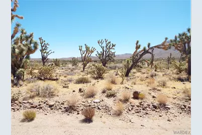 328-05-039 N Palo Alto Drive, Dolan Springs, AZ 86441 - Photo 10