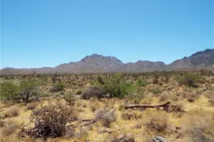 0000 N Palo Alto Dr, Dolan Springs, AZ 86441 - Photo 1