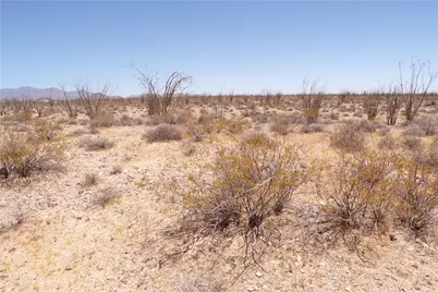 245-24-140 Ray Road, Yucca, AZ 86438 - Photo 8
