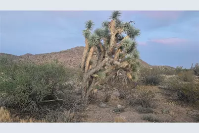 121-16-003 E Octotillo Drive, Yucca, AZ 86438 - Photo 18