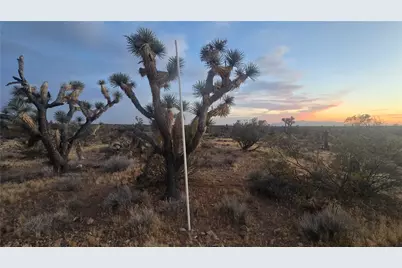 121-16-003 E Octotillo Drive, Yucca, AZ 86438 - Photo 20