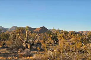 121-16-003 E Octotillo Dr, Yucca, AZ 86438 - Photo 1
