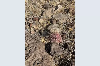 316-05-018 June, Dolan Springs, AZ 86441 - Photo 28