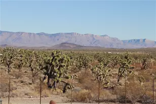 17773 N Lakeside Dr, Dolan Springs, AZ 86441 - Photo 38