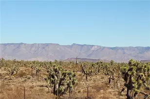 17773 N Lakeside Dr, Dolan Springs, AZ 86441 - Photo 40