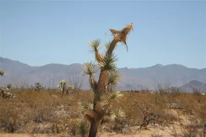 207-17-097 S Cameron Road, Yucca, AZ 86438 - Photo 14