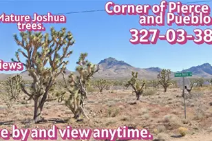 327-03-384 N Pierce Ferry Rd, Dolan Springs, AZ 86441 - Photo 1