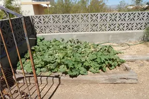 3661 W Abrigo Dr, Golden Valley, AZ 86413 - Photo 38