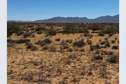 13564 N Aladdin Drive, Dolan Springs, AZ 86441 - Photo 4