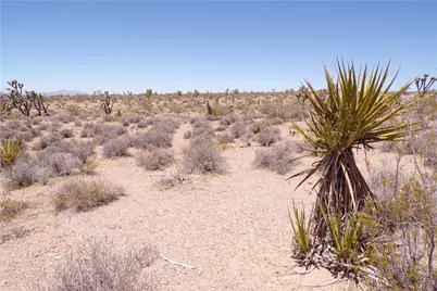 8577 W Indian Peak Drive, White Hills, AZ 86445 - Photo 20