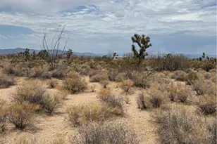 244-08-203 Organ Pipe Pl, Yucca, AZ 86438 - Photo 2