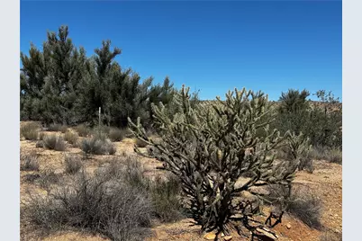 253-19-025 W Windmill Road, Kingman, AZ 86401 - Photo 6