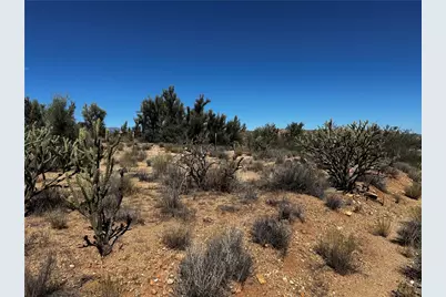 253-19-025 W Windmill Road, Kingman, AZ 86401 - Photo 2
