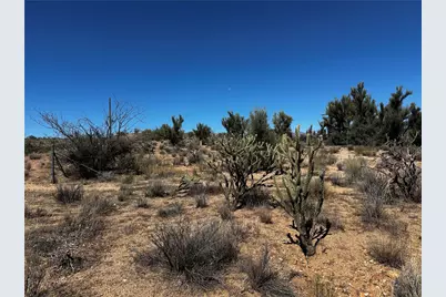 253-19-025 W Windmill Road, Kingman, AZ 86401 - Photo 4