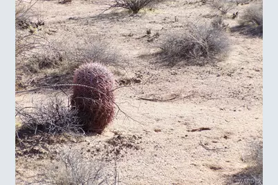 207-03-030 Saguaro Drive, Yucca, AZ 86438 - Photo 22
