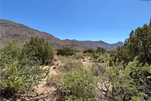 5221 E Crystal Springs Rd, Yucca, AZ 86438 - Photo 44