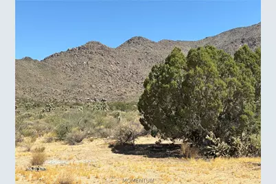 5221 E Crystal Springs Road, Yucca, AZ 86438 - Photo 36