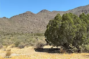 5221 E Crystal Springs Rd, Yucca, AZ 86438 - Photo 36