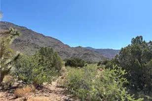 5221 E Crystal Springs Rd, Yucca, AZ 86438 - Photo 30