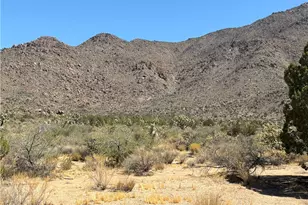 5221 E Crystal Springs Rd, Yucca, AZ 86438 - Photo 18