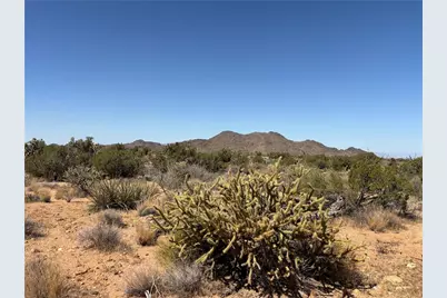 5221 E Crystal Springs Road, Yucca, AZ 86438 - Photo 4