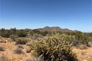 5221 E Crystal Springs Rd, Yucca, AZ 86438 - Photo 4