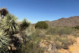 5221 E Crystal Springs Rd, Yucca, AZ 86438 - Photo 28