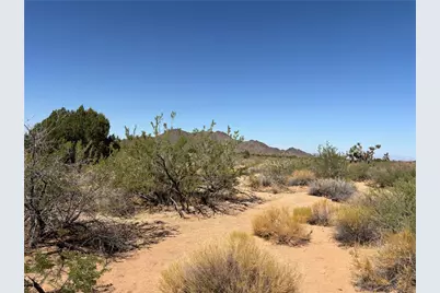 5221 E Crystal Springs Road, Yucca, AZ 86438 - Photo 12