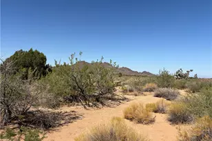 5221 E Crystal Springs Rd, Yucca, AZ 86438 - Photo 12