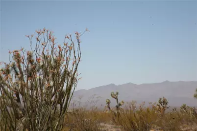 122-10-005 Tortoise Road, Yucca, AZ 86438 - Photo 12