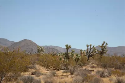 122-10-005 Tortoise Road, Yucca, AZ 86438 - Photo 4