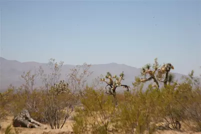 122-10-005 Tortoise Road, Yucca, AZ 86438 - Photo 14